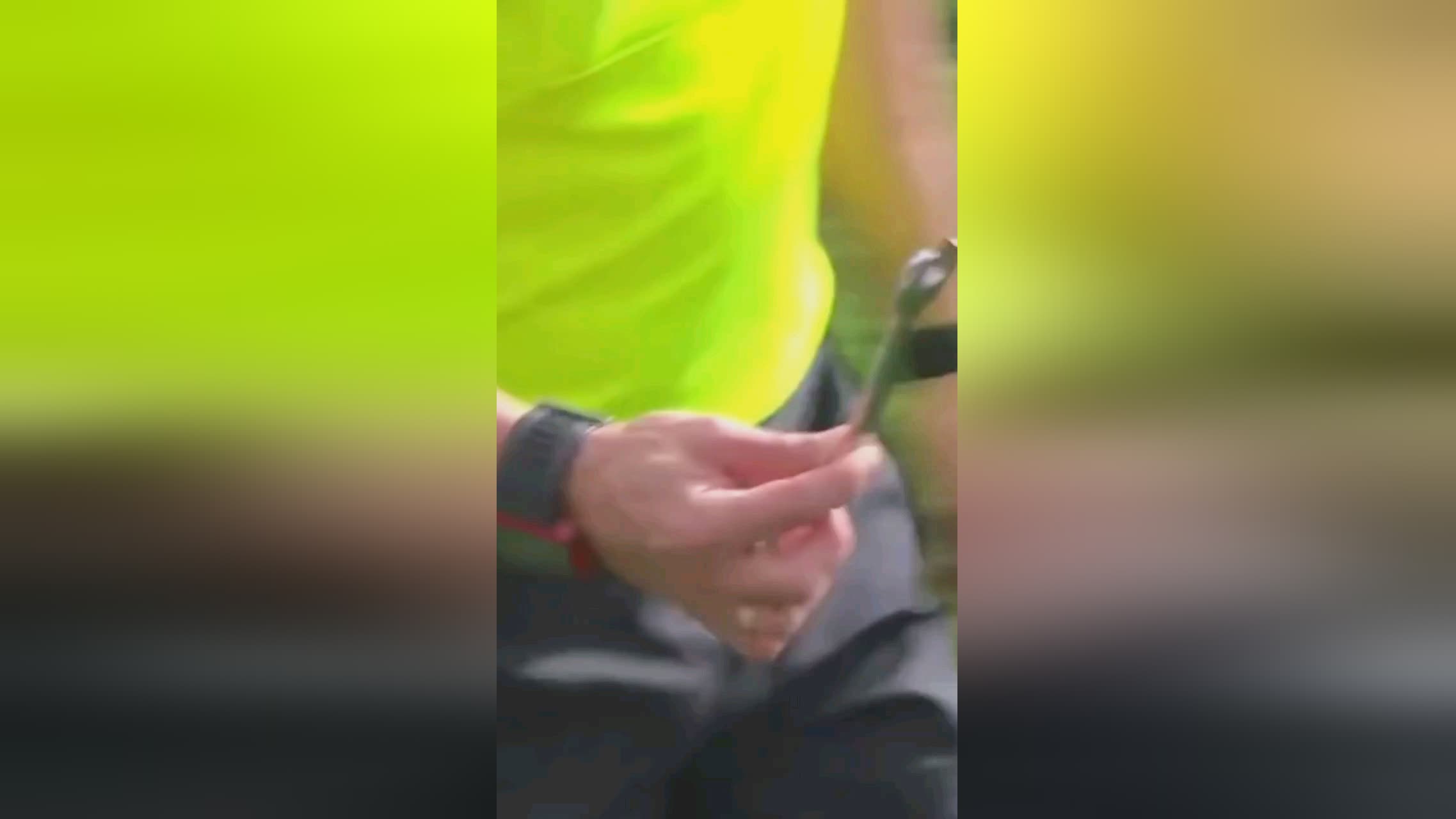 资机