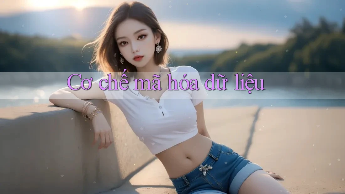Cơ chế mã hóa dữ liệu Cơ chế mã hóa dữ liệu